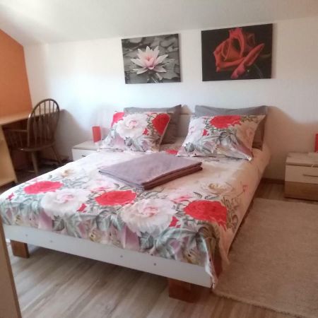 Apartman Franjicic Korenica Dış mekan fotoğraf