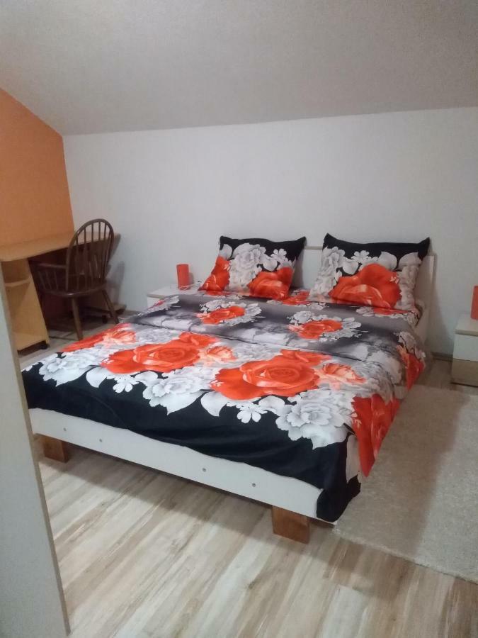 Apartman Franjicic Korenica Dış mekan fotoğraf