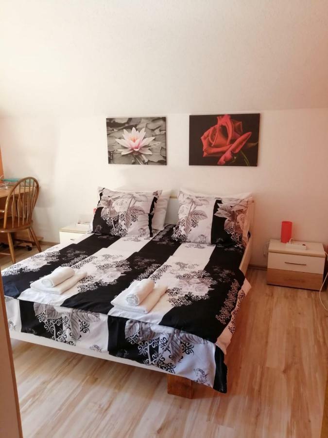 Apartman Franjicic Korenica Dış mekan fotoğraf